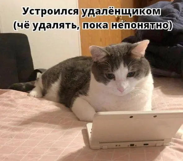 #IT
😂 ПМ 🛍 Другие каналы
В этом посте были ссылки, но мы их удалили по правилам Сетки | Сетка — социальная сеть от hh.ru