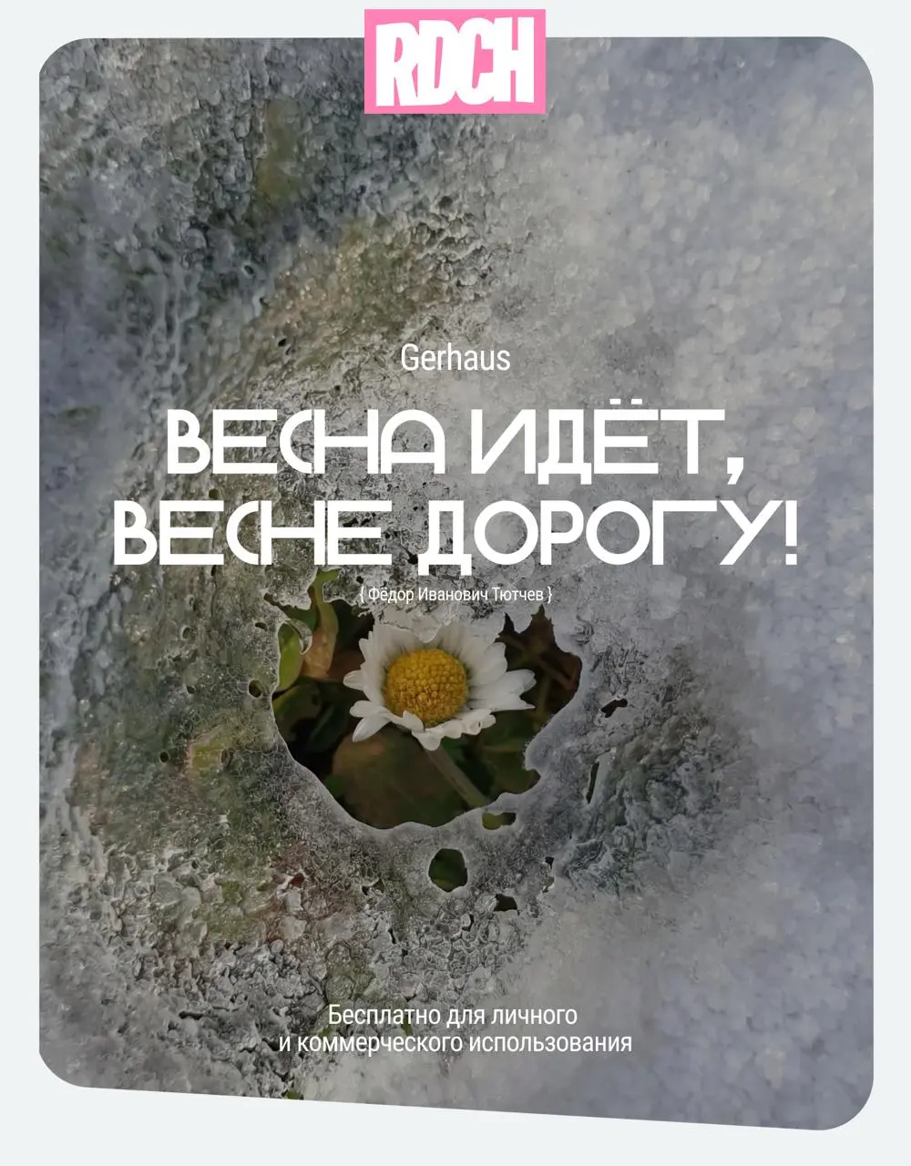 Всех с первым днем весны!)
Друзья, мы с вами пережили эту долгую и снежную зиму. Настало время солнца, цветов, любви ❤️
Держите нежную весеннюю подборку кириллических шрифтов для ваших проектов | Сетка — социальная сеть от hh.ru