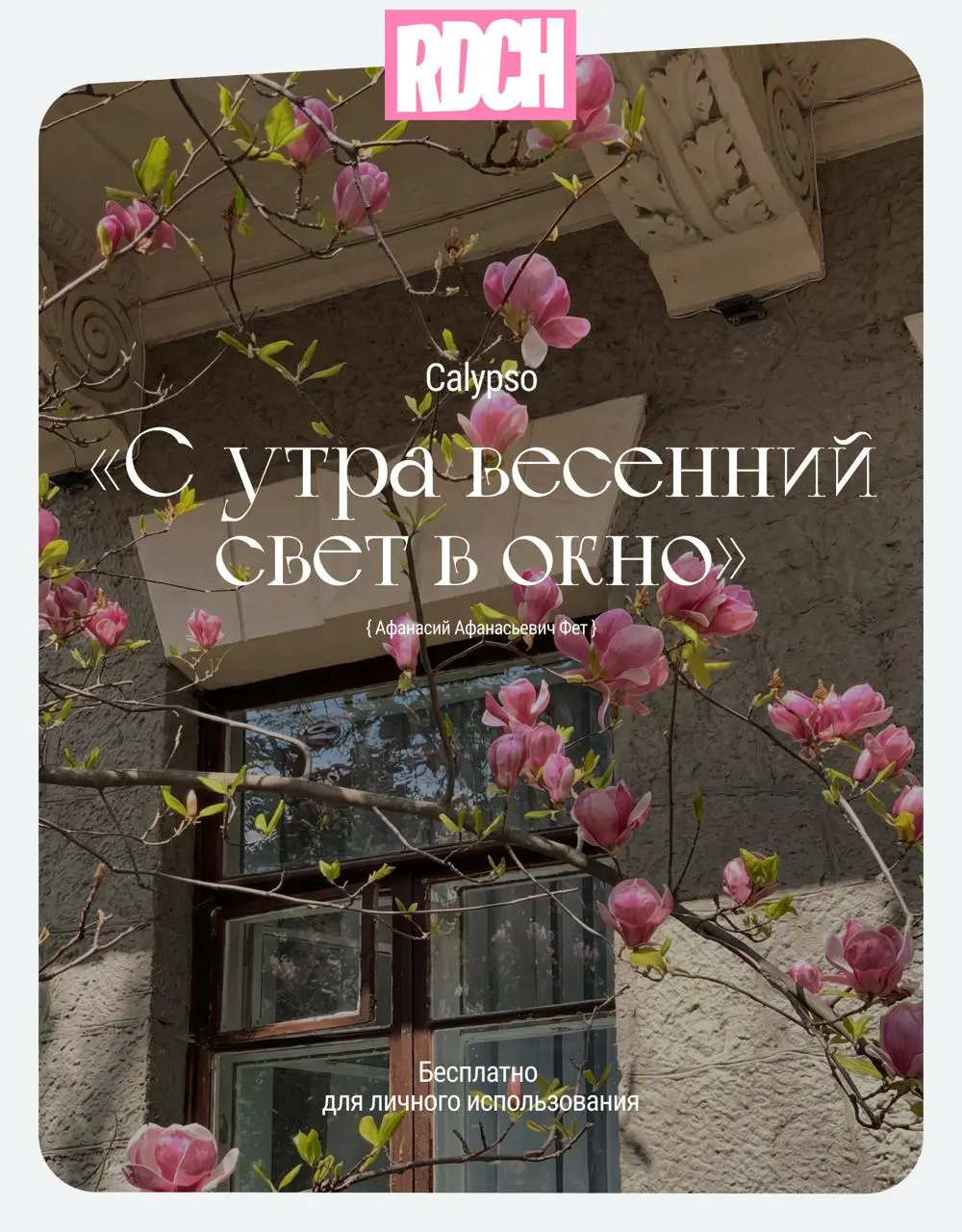 Всех с первым днем весны!)
Друзья, мы с вами пережили эту долгую и снежную зиму. Настало время солнца, цветов, любви ❤️
Держите нежную весеннюю подборку кириллических шрифтов для ваших проектов | Сетка — социальная сеть от hh.ru