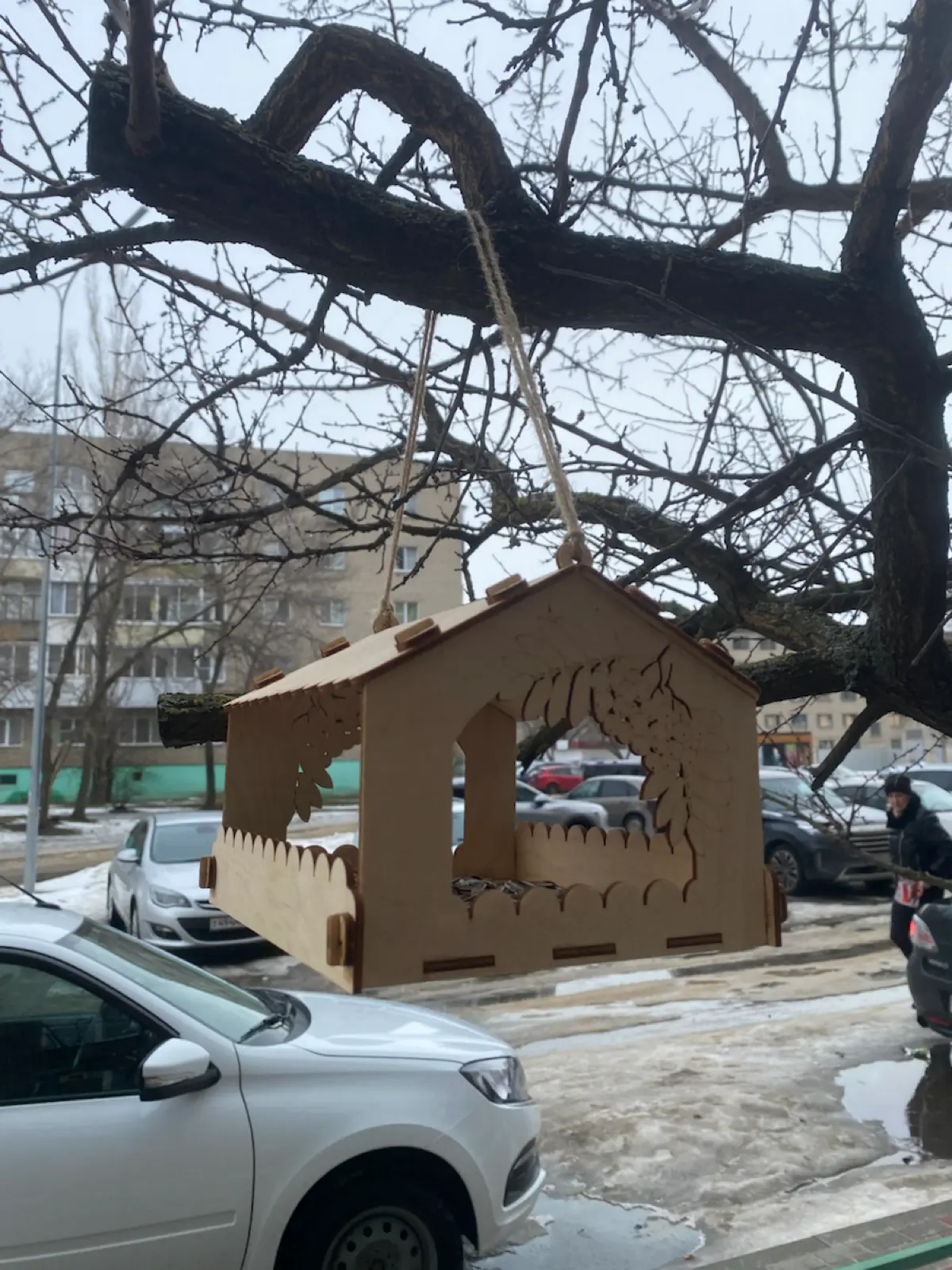 Весна пришла! Поздравляю всех с первым днём весны | Сетка — социальная сеть от hh.ru