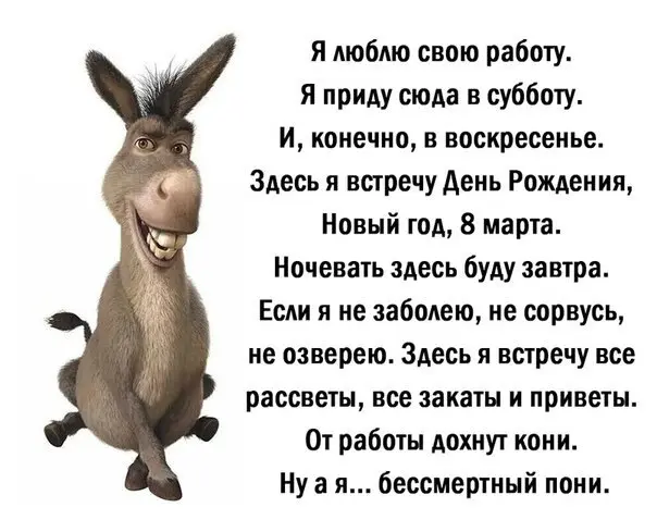 Сетка — социальная сеть от hh.ru