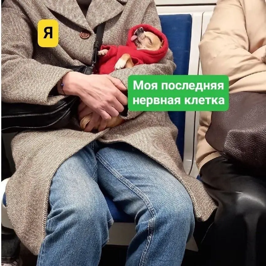 Сетка — социальная сеть от hh.ru