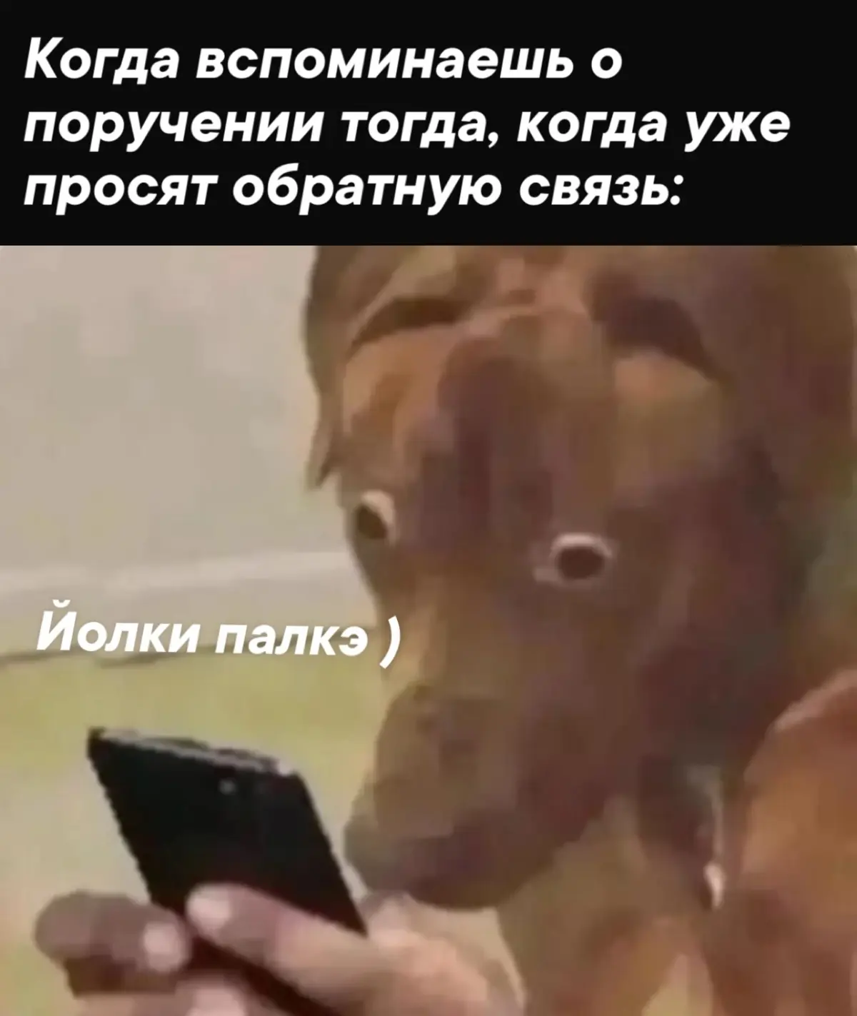 Сетка — социальная сеть от hh.ru
