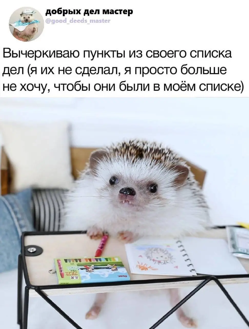 Вы как? Все запланированное на выходные успели сделать? ☺️ | Сетка — социальная сеть от hh.ru