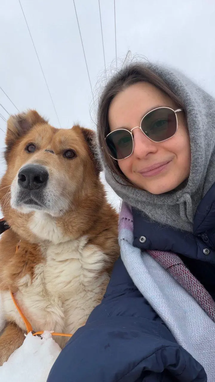 Надышались воздухом, нагулялись и наобнимались с песиками и котиками 💜
Сегодня были в приюте для животных "Ника" | Сетка — социальная сеть от hh.ru