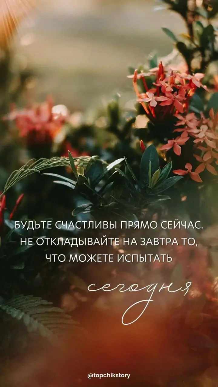 Доброе утро! 🌱
Весна это время открытий. Пусть сегодняшний день станет первой страницей новой главы вашей супер карьеры. Верьте в себя и действуйте! | Сетка — социальная сеть от hh.ru