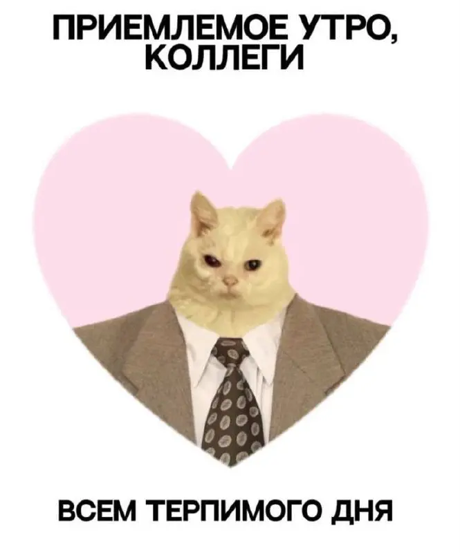 #work #cats | Сетка — социальная сеть от hh.ru