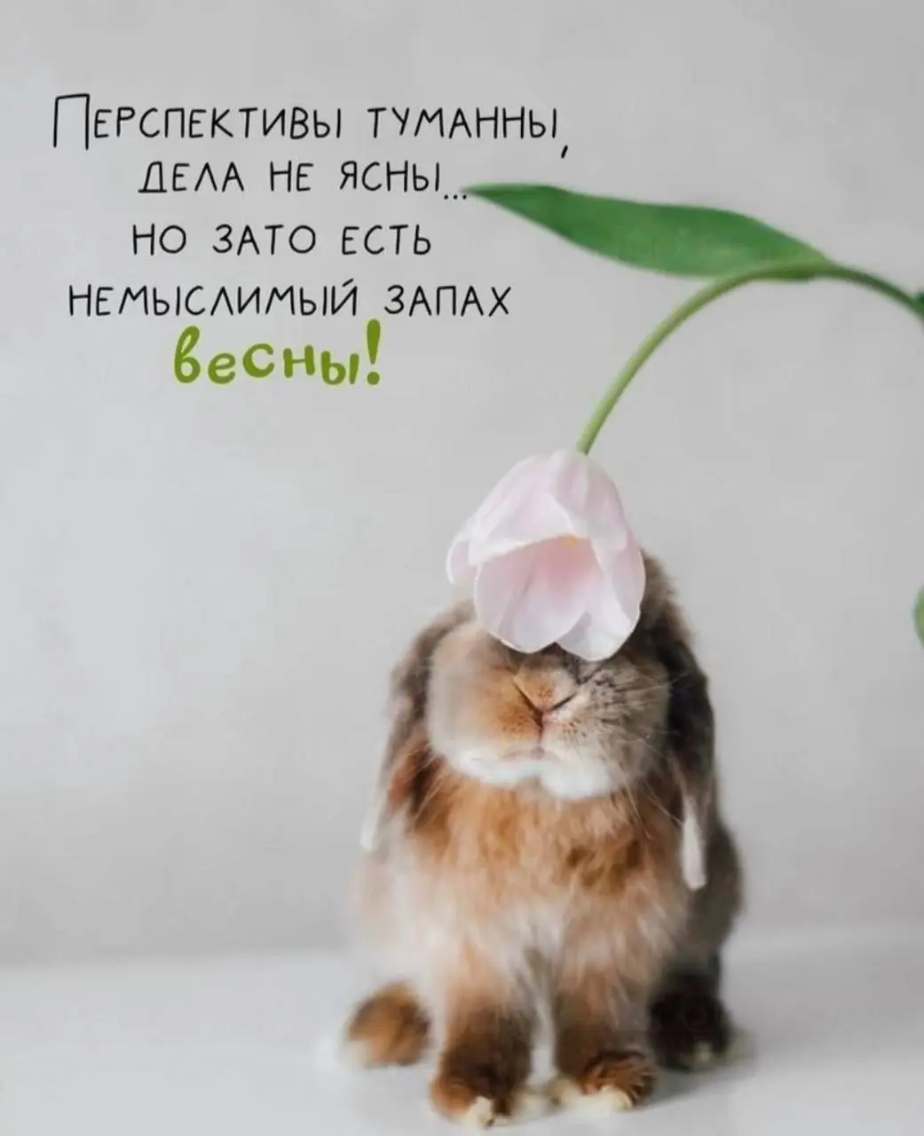 Друзья, приветствую! С весной вас! 🌿
Начало весны хочу отрыть темой личной эффективности, ведь весна это пробуждение и пополнение нашей энергии силой и смыслами 😇 | Сетка — социальная сеть от hh.ru