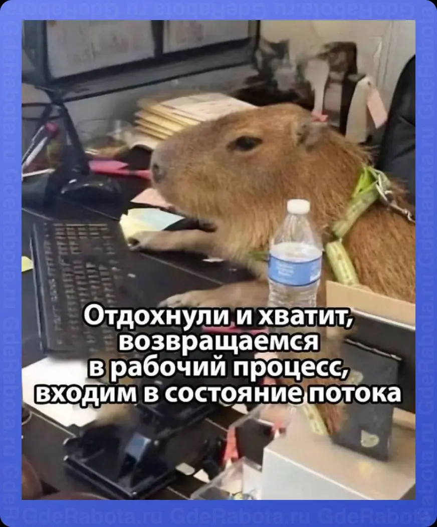 С понедельником 😎
Не теряем состояние потока!
#работа #GdeRabota #hr #вакансии | Сетка — социальная сеть от hh.ru