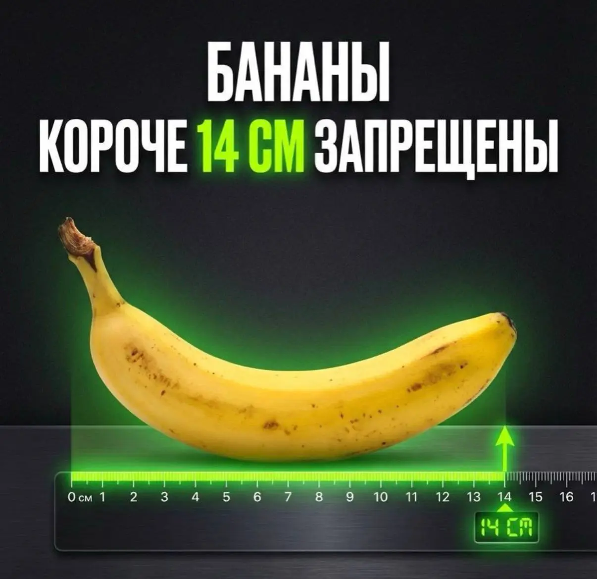 Особенно понравилось про мед освидетельствования для сотрудников. Держитесь зумеры!!! | Сетка — социальная сеть от hh.ru
