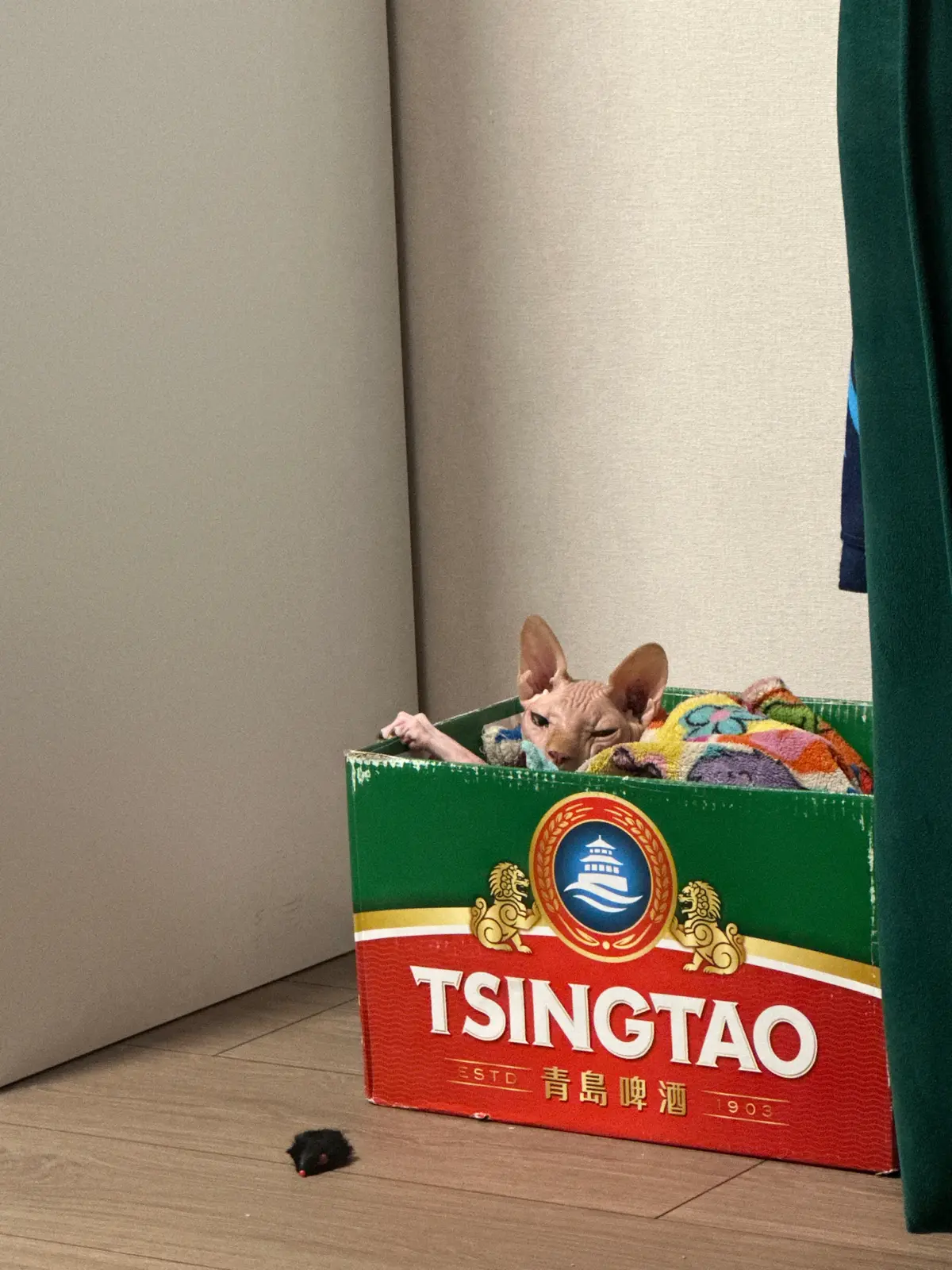 Подработка, когда у тебя уже есть основная работа. | Сетка — социальная сеть от hh.ru