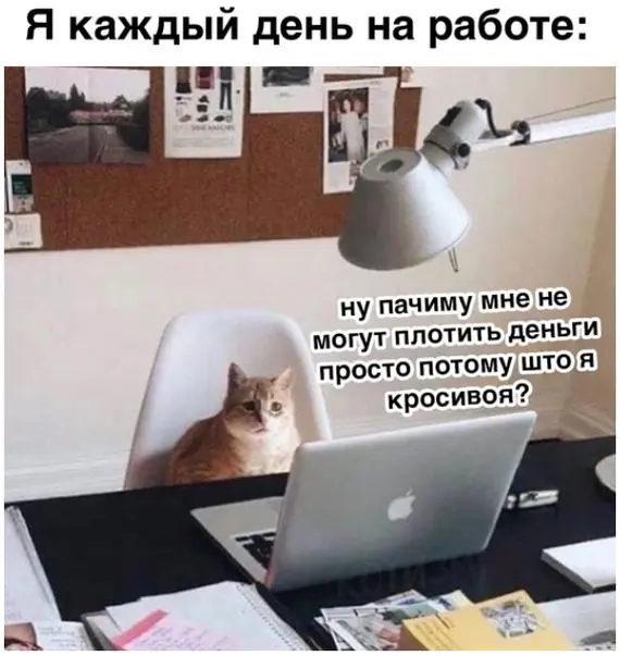 У меня совершенно внезапно возникла тема «Как понять что вас не ценят».
При этом очевидные признаки известны всем: не хвалят, платят мало, работа идет в атмосфере ругани и стресса | Сетка — социальная сеть от hh.ru