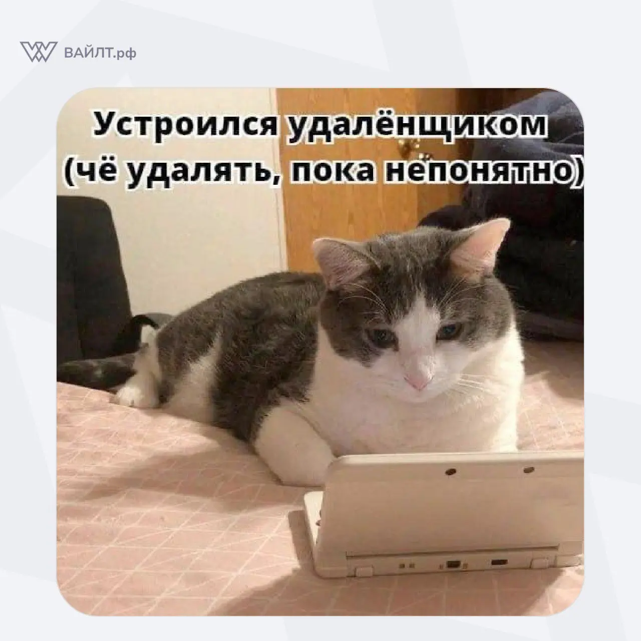 #Мем
@whiletru | Сетка — социальная сеть от hh.ru