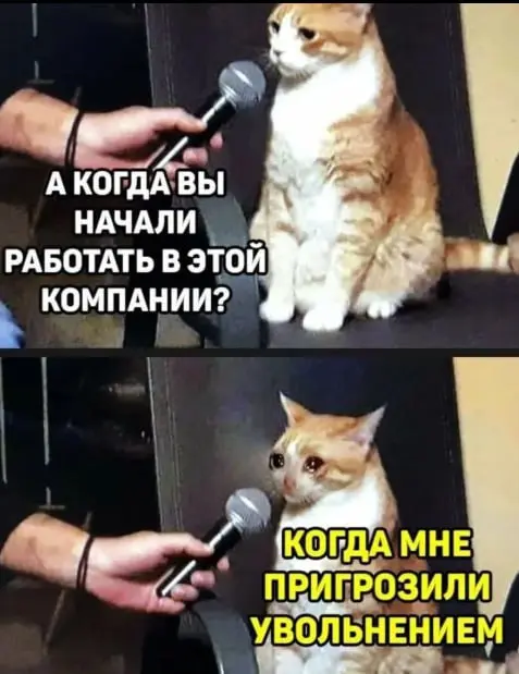 Покидаем любых мемов про работу? 🌚 | Сетка — социальная сеть от hh.ru