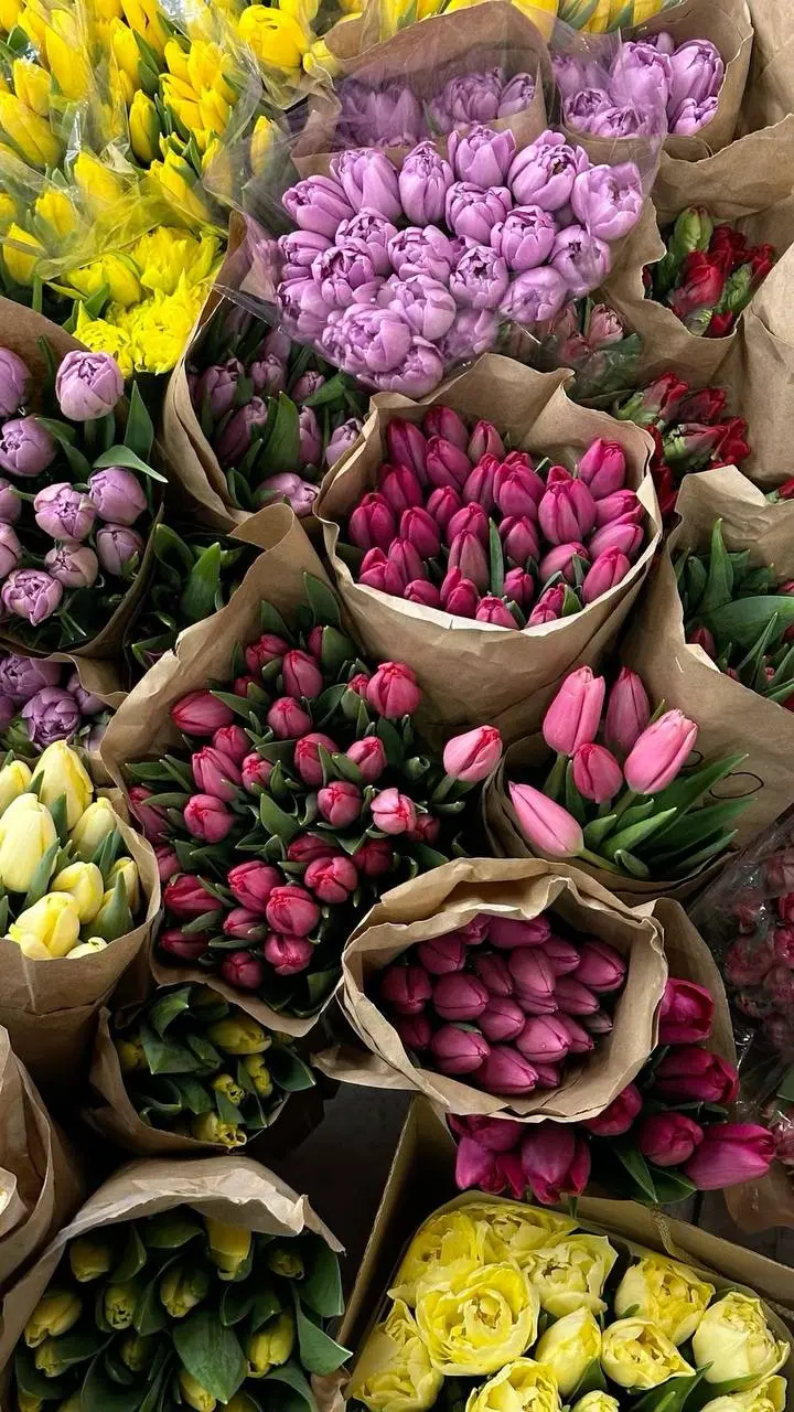 💔 Цветущие уголки Москвы
🌷Петровский пассаж
До 9 марта 10:00–22:00
▫️Вход свободный
📍ул. Петровка, 10
🌷Красная Нива
Ежедневно 09:00–18:00
▫️Вход свободный
📍ул | Сетка — социальная сеть от hh.ru