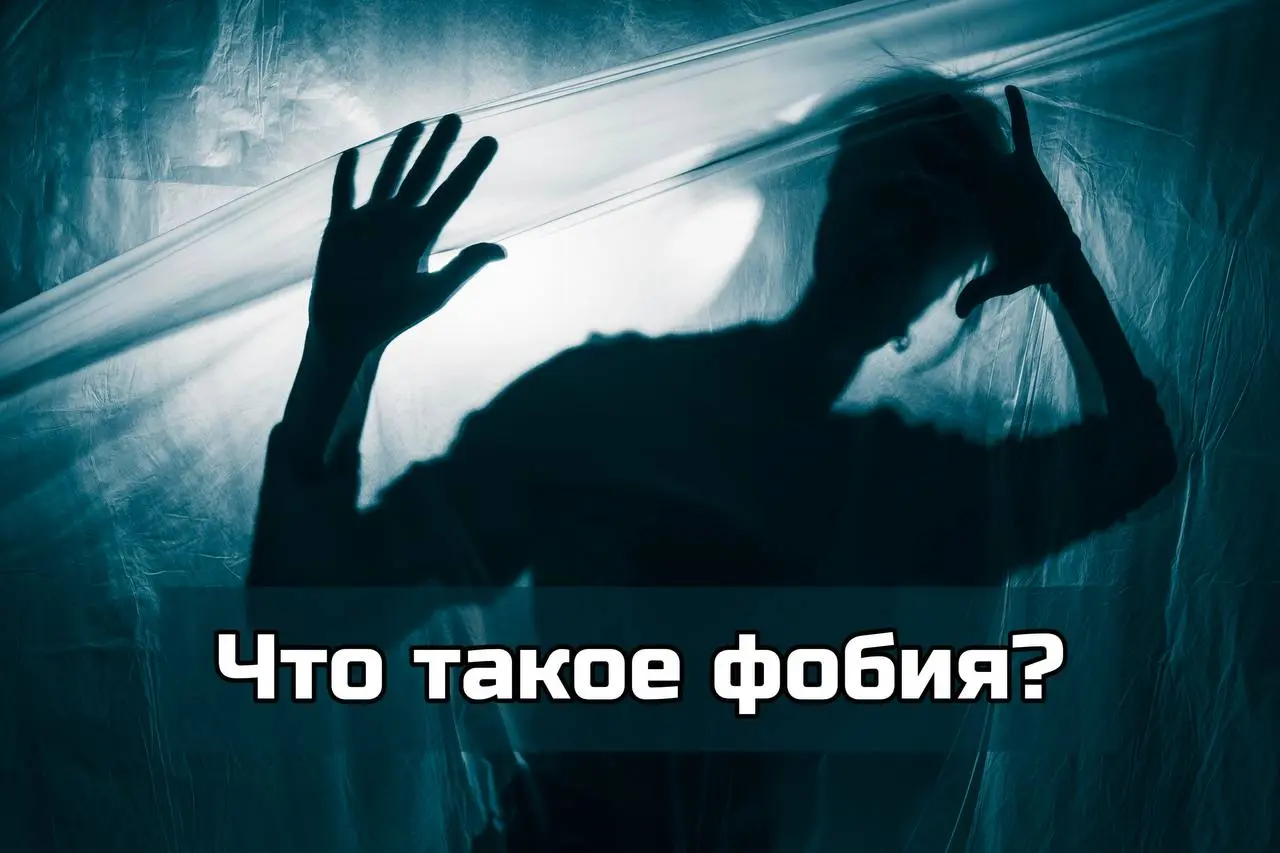 Что такое фобия?
Когда человек сталкивается с тем, что он чего-то боится, логично, что он пытается избежать этого страха и всех объектов, с которыми этот страх может быть связан | Сетка — социальная сеть от hh.ru