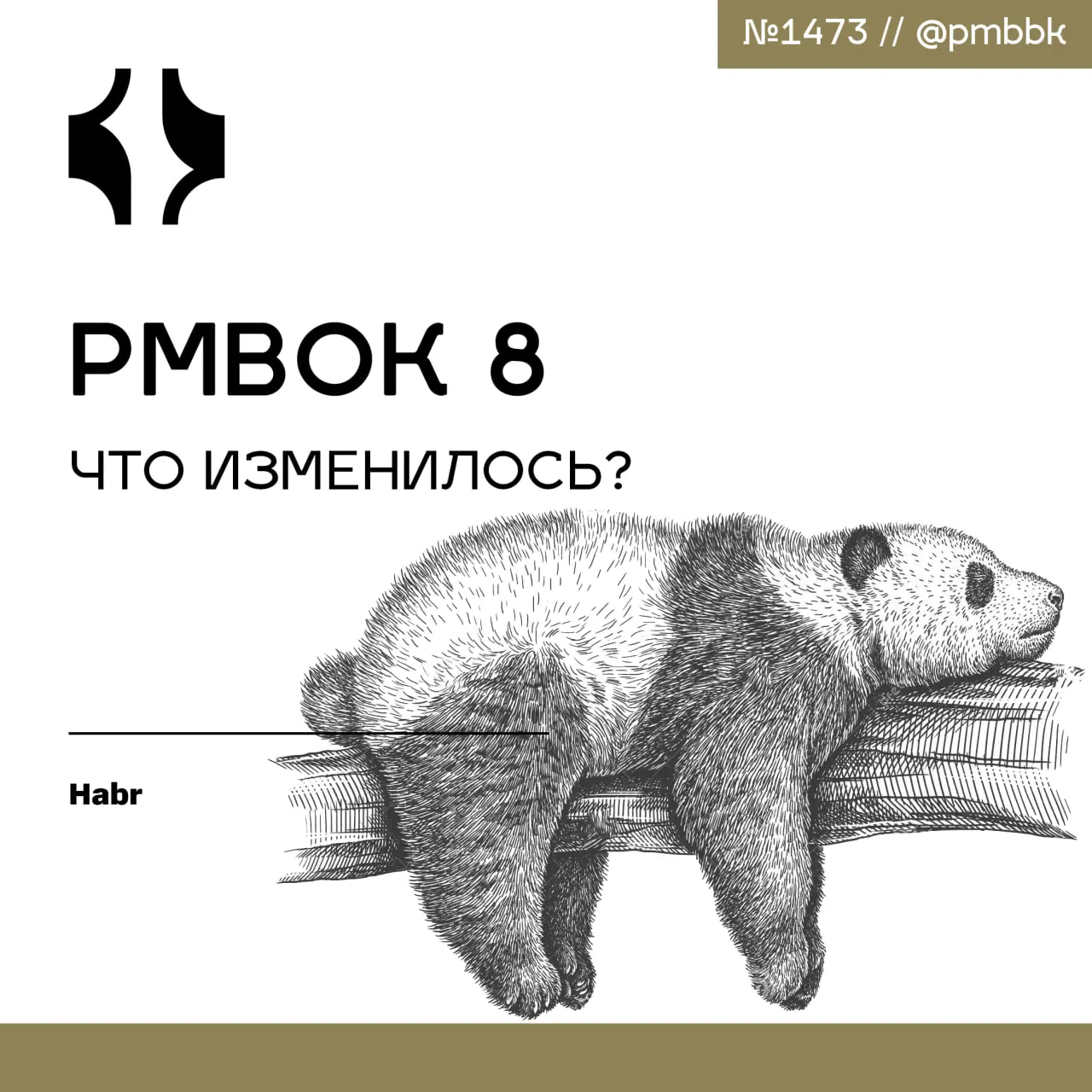 📖 PMBOK 8 | Сетка — социальная сеть от hh.ru