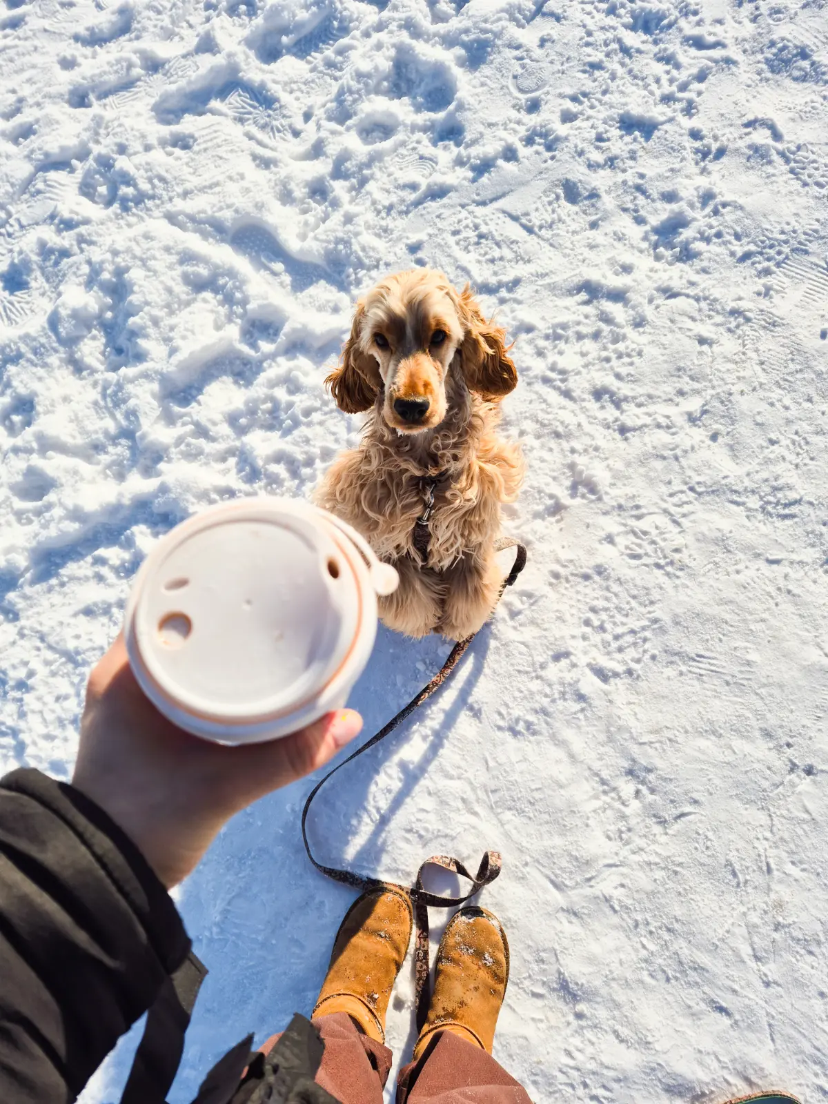 📌⏳ Один день из жизни HR | Сетка — социальная сеть от hh.ru