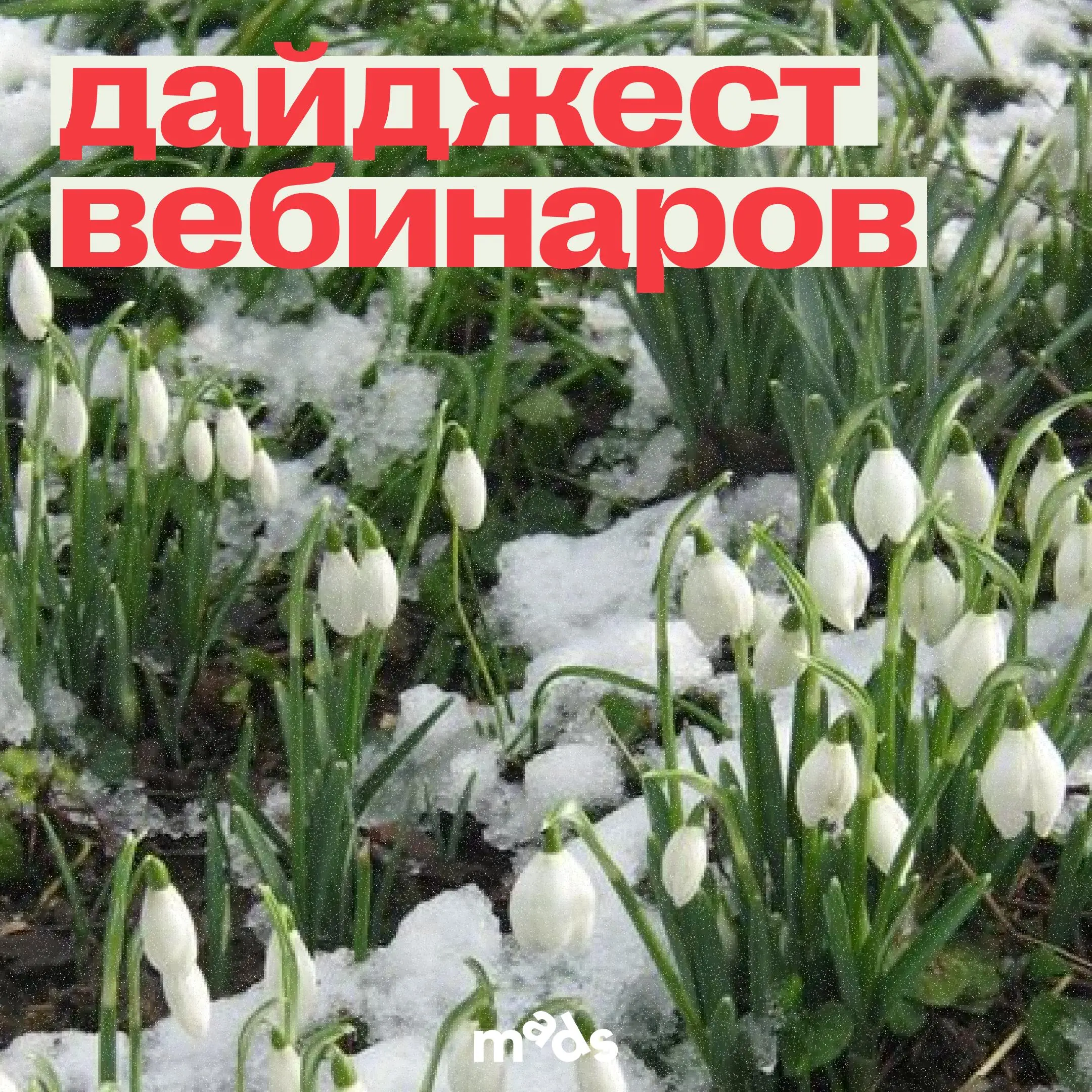 Встречаем весну новой порцией открытых вебинаров 💥
На этой и следующей неделе будем рады видеть вас:
⬅️ 4 марта в 18:00 (мск), онлайн
Манипуляции в бизнесе: как работать со сложными клиентами и не тер... | Сетка — социальная сеть от hh.ru