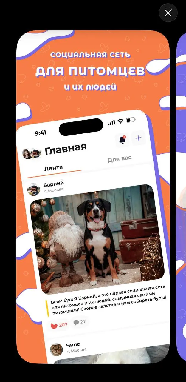 Социальная сеть для людей, а может лучше для животных?
На выходных узнала о существовании «БУП», соцсети для животных | Сетка — социальная сеть от hh.ru