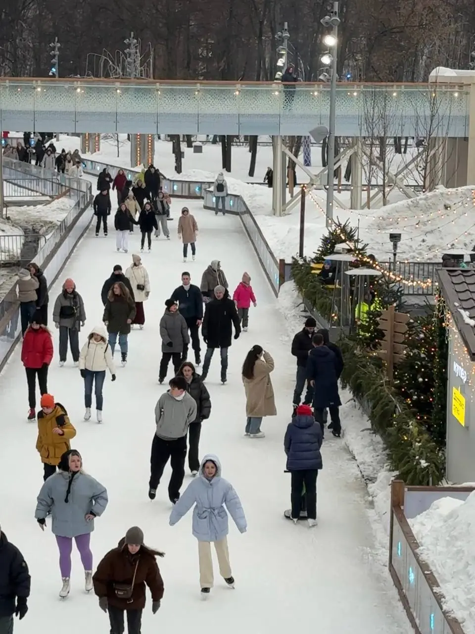 Пока наши снежные горы окончательно не превратились в грязевые реки, очень вам рекомендую успеть на каток в Лужниках! Мы свою норму выполнили на прошлых выходных — лед потрогали и коньками, и жопками | Сетка — социальная сеть от hh.ru