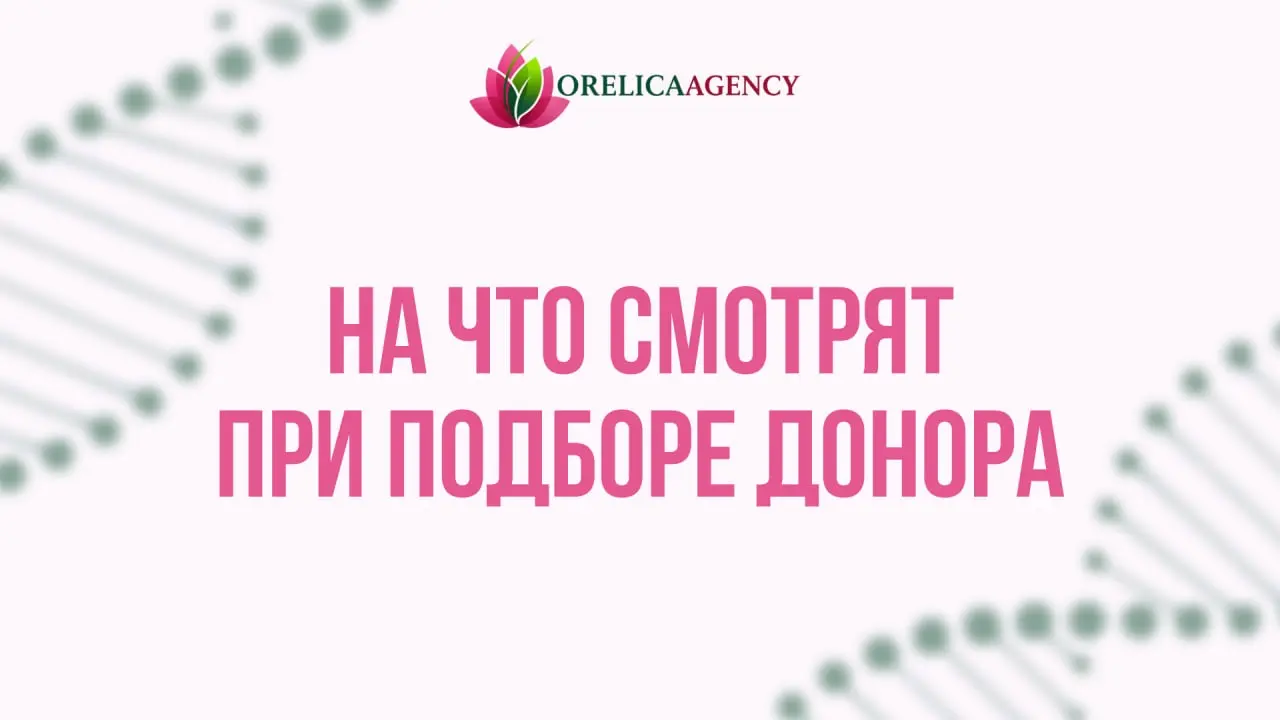 На что обращают внимание при подборе донора? | Сетка — социальная сеть от hh.ru