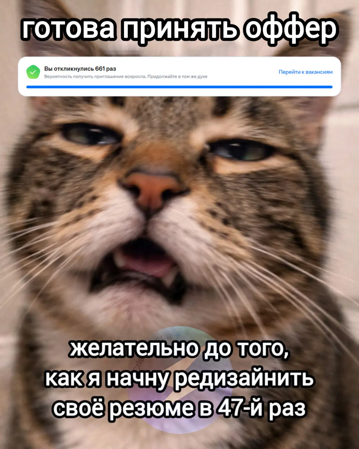 Оффер, ты где? | Сетка — социальная сеть от hh.ru