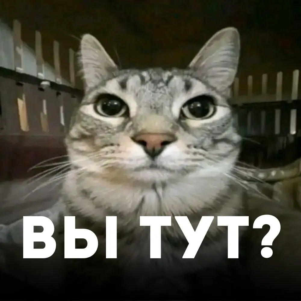 Доброе утро, друзья! Любимая Телега работает все хуже И я теперь веду каналы там, где доступно точно и всем:
📍 Дзен — здесь
📍 MAX — здесь
Подписывайтесь, чтобы не потеряться! | Сетка — социальная сеть от hh.ru