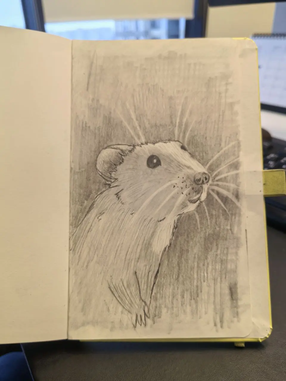 ▌ Скетчбук закончен... Что теперь?
Сегодня у меня –«никогда
такого не было и вот опять!» — мой любимый скетчбук подошел к концу. Я перелистнул
последнюю страницу и почувствовал какую-то пустоту внутри | Сетка — социальная сеть от hh.ru