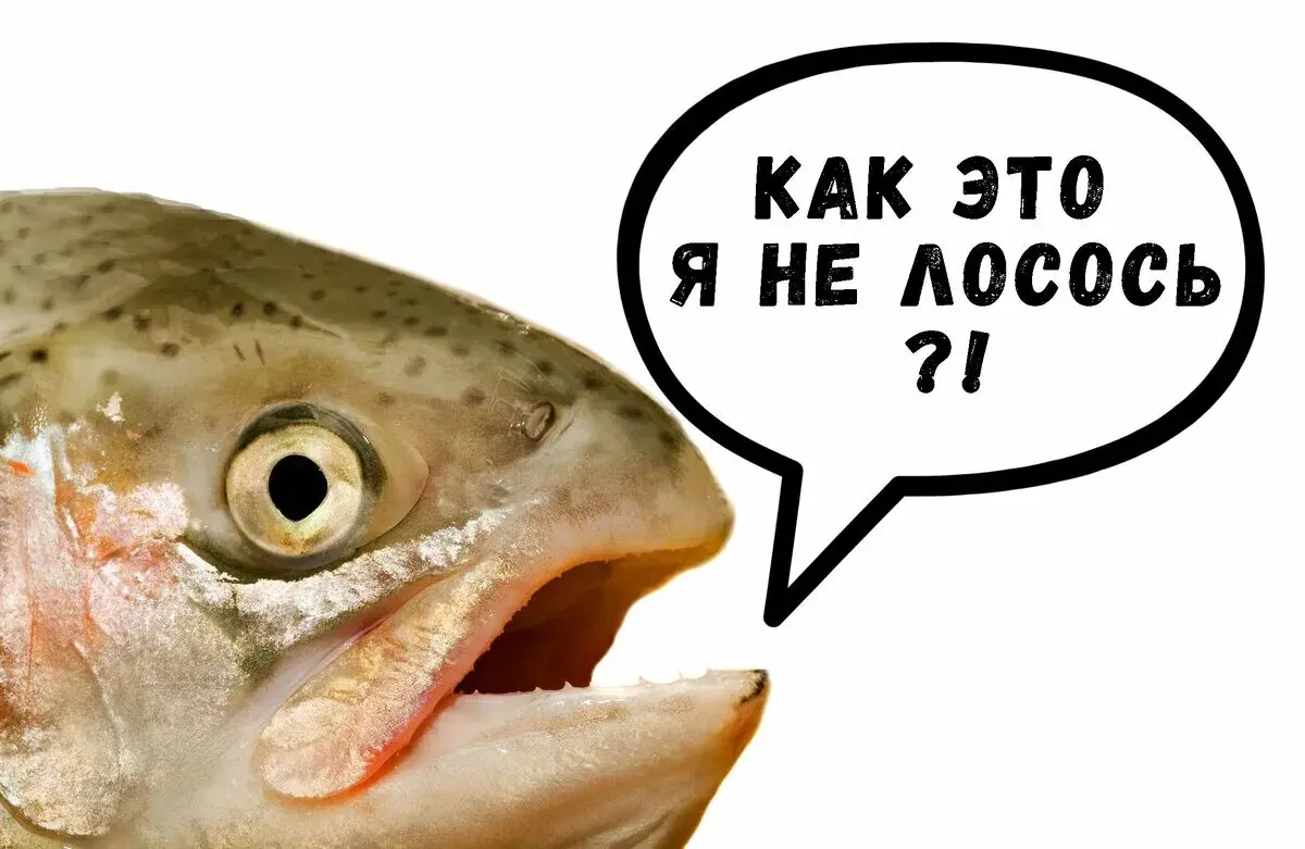 🛑 Выдыхай, ты не лосось: научный подход к отдыху в бигтехе
Прочитал на Хабре мощнейший лонгрид о том, почему мы массово выгораем и как на самом деле нужно отдыхать | Сетка — социальная сеть от hh.ru