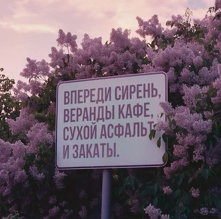 А у нас снова снег и зима... 😩
Всем привет🖐
Сегодня я немного грущу, тк если честно этот грязно-белый пейзаж сильно зае@@л! Хочется солнца, жары и ярких красок | Сетка — социальная сеть от hh.ru