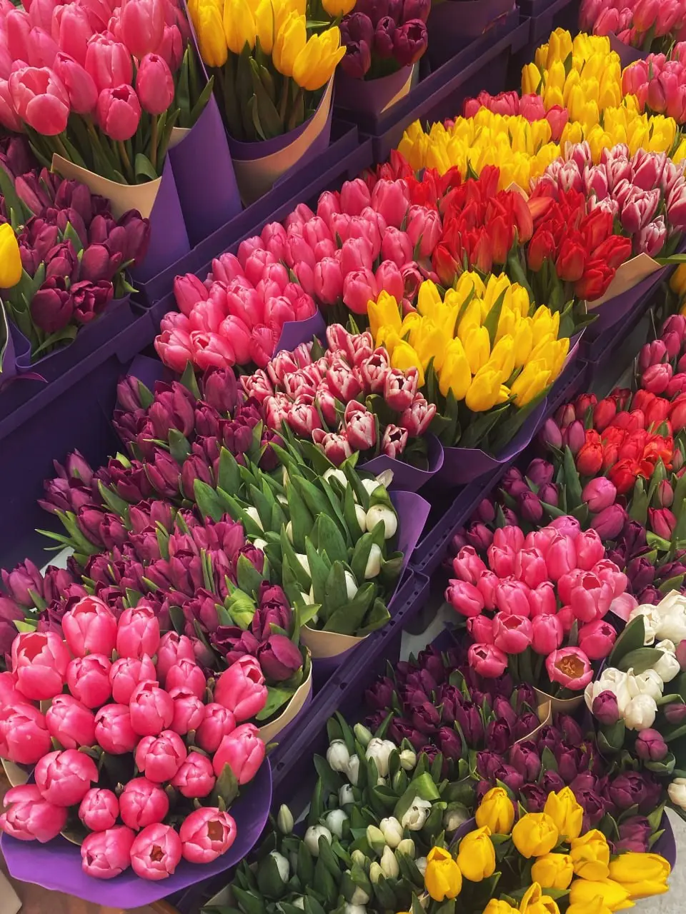💐Бесплатные цветы, укладка и макияж для всех девушек
8 марта
Каждая гостья сможет почувствовать себя настоящей принцессой:
🌷с 14:00 по 18:00 мужчины будут дарить тюльпаны всем посетительницам
🌷с 13:00... | Сетка — социальная сеть от hh.ru
