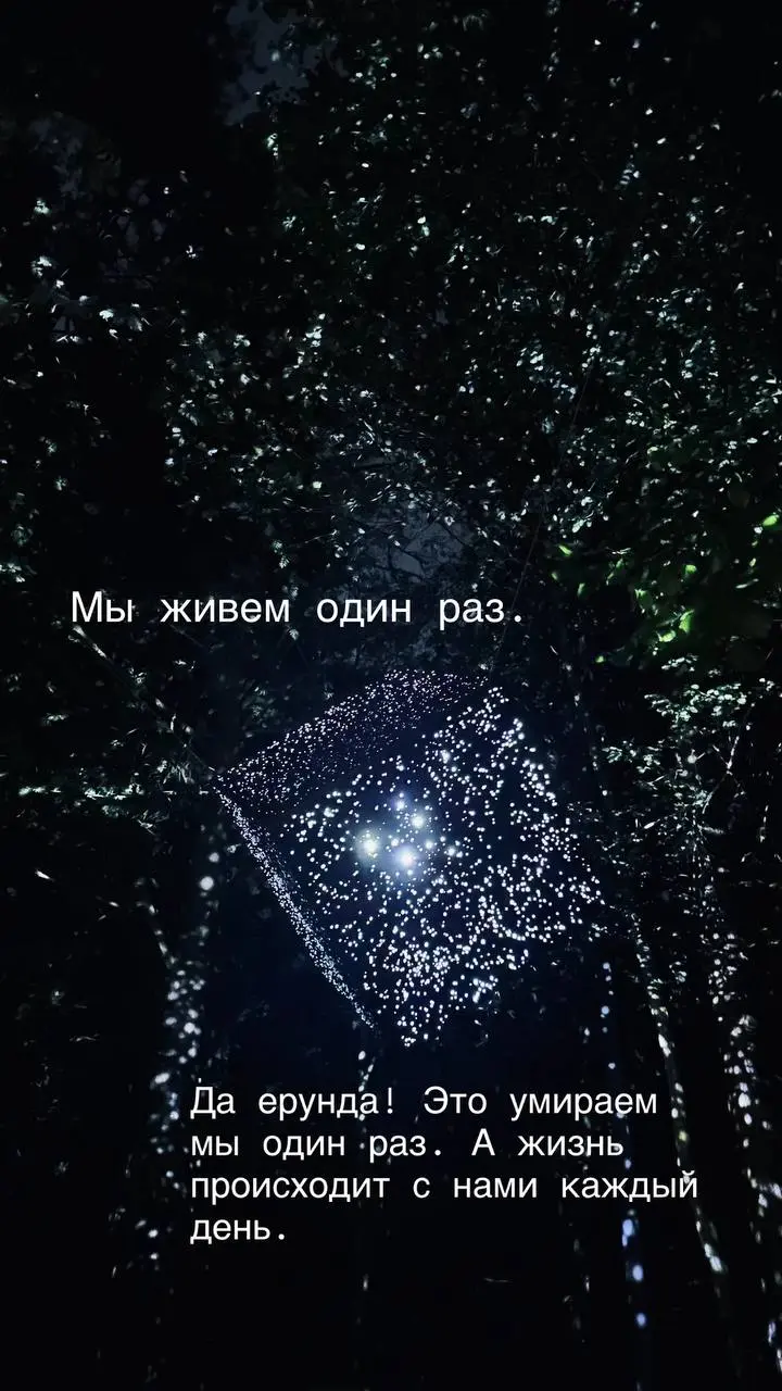Странно бояться смерти и так легко откладывать жизнь. | Сетка — социальная сеть от hh.ru
