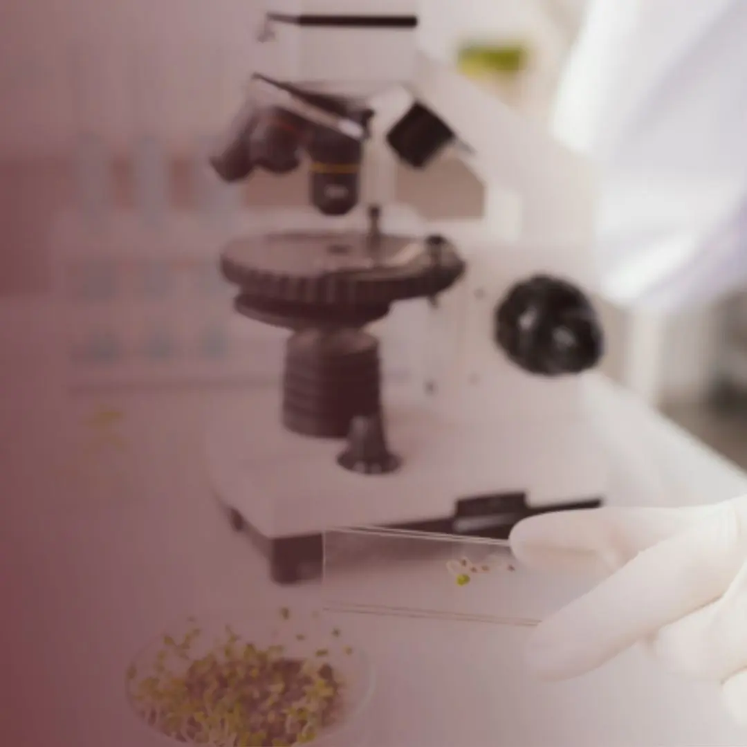 💜💜💜Учитель биологии в обучающий центр ЕГЭ
В новом кейсе от «А.Н.Т | Сетка — социальная сеть от hh.ru