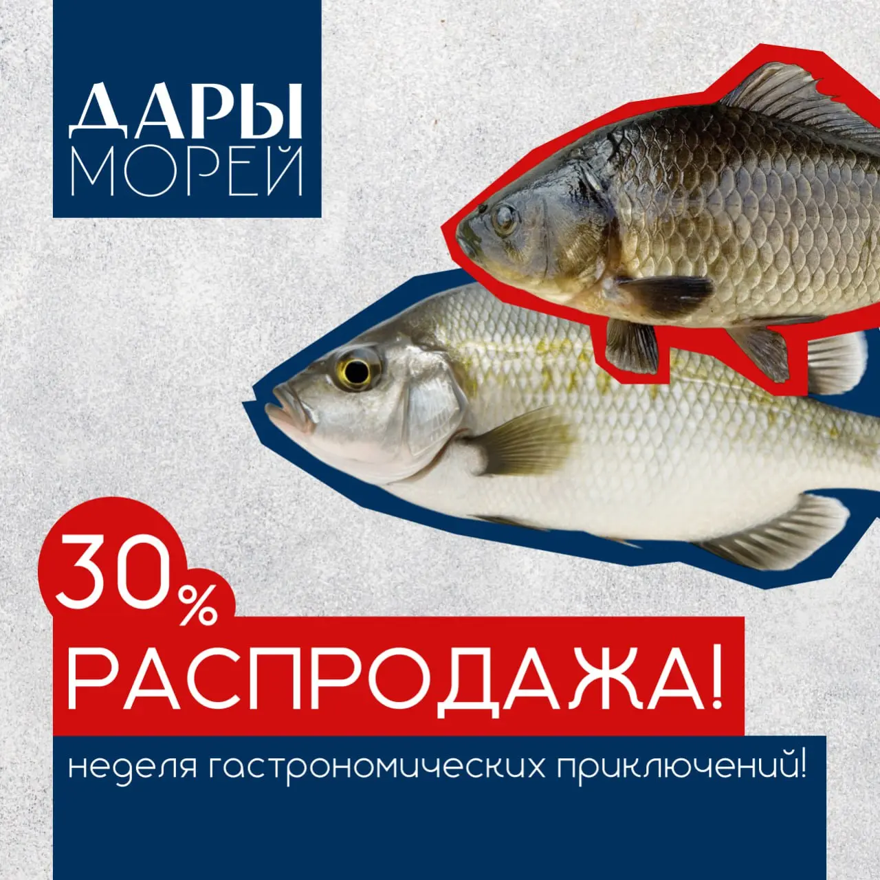 🐠 Решила создать вот такой вот рекламный макет по тз, а так же не забываю показать процесс работы и поиски. Все еще меня не отпускают эти дизайны рыб ахах | Сетка — социальная сеть от hh.ru