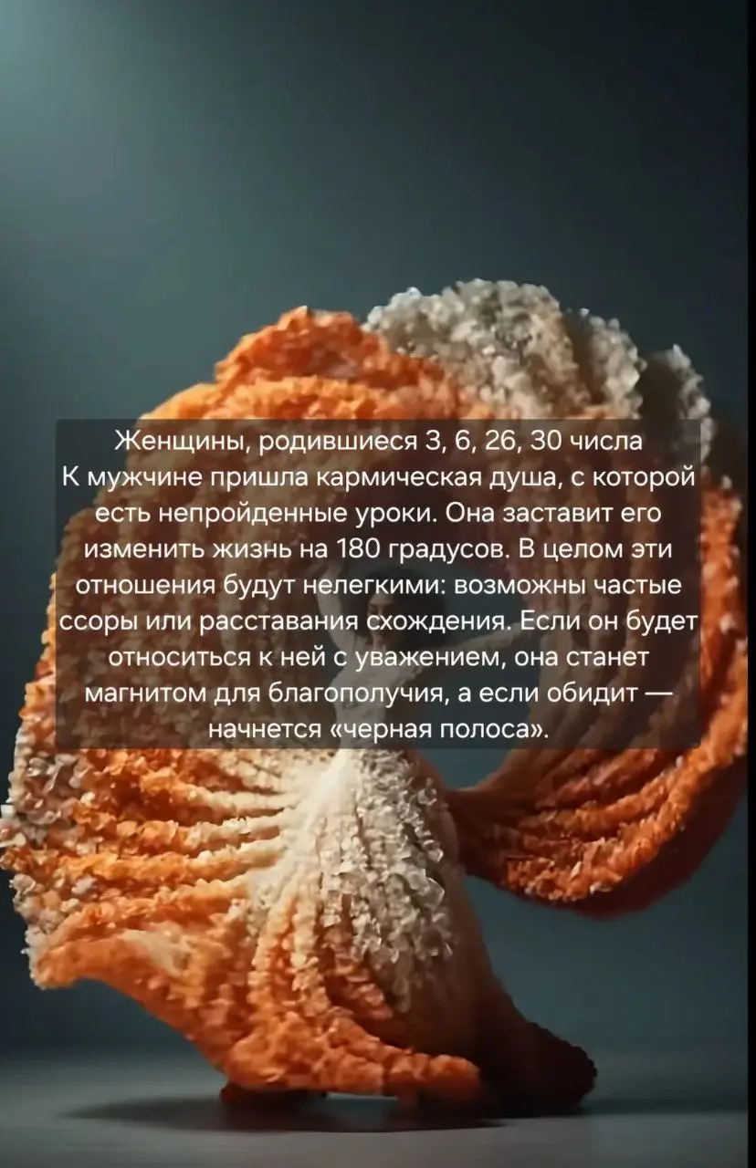 Сетка — социальная сеть от hh.ru