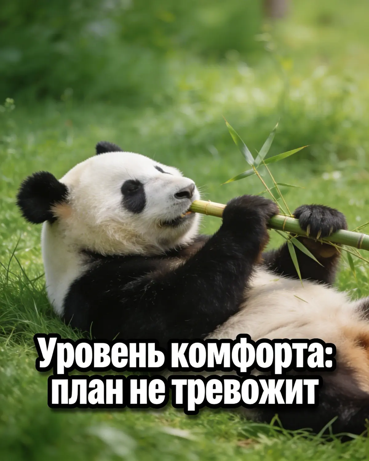 Зона комфорта под наблюдением 🔬 | Сетка — социальная сеть от hh.ru