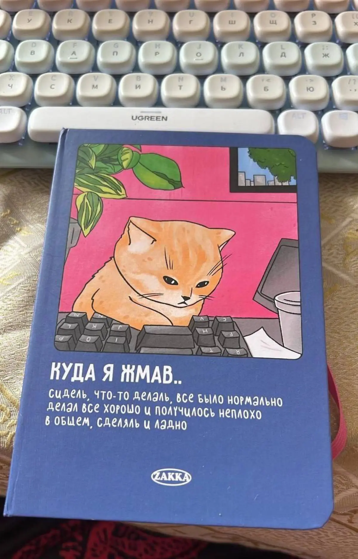 Настроение "Котейка" ... | Сетка — социальная сеть от hh.ru