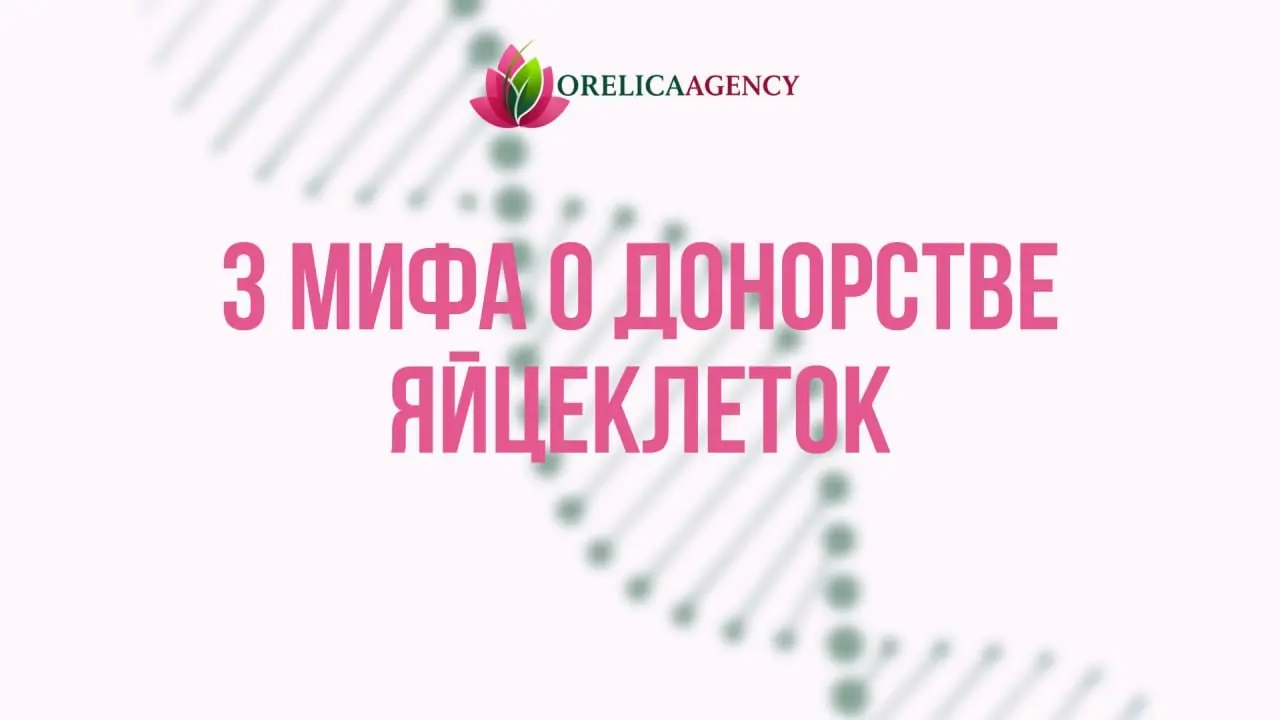 3 мифа о донорстве яйцеклеток, в которые до сих пор верят | Сетка — социальная сеть от hh.ru