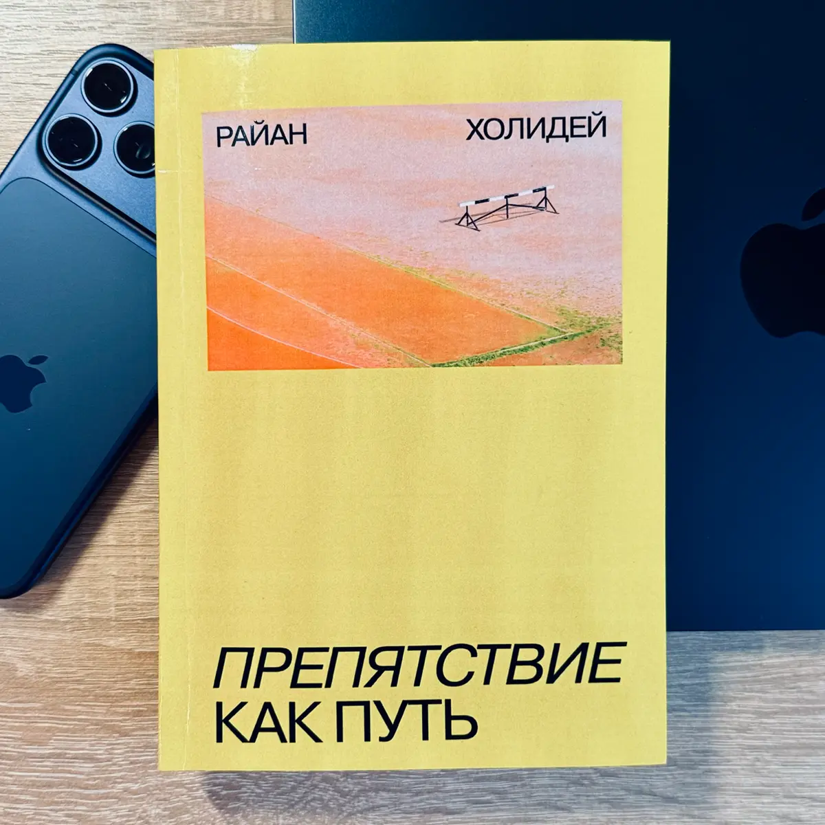 Райан Холидей «Препятствие как путь», 2014 | Сетка — социальная сеть от hh.ru
