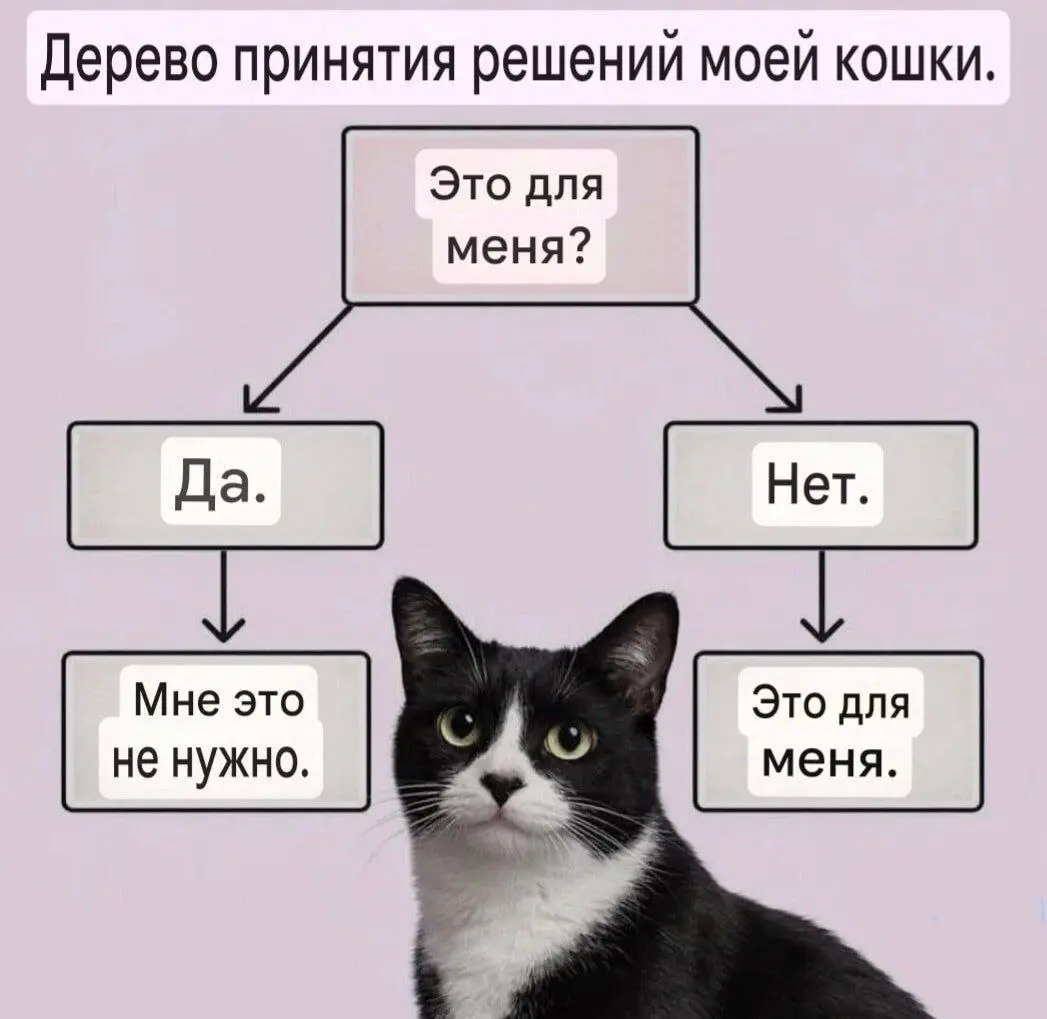 Берем на вооружение 😂😂
#Юмор@poldner #Коты@poldner | Сетка — социальная сеть от hh.ru