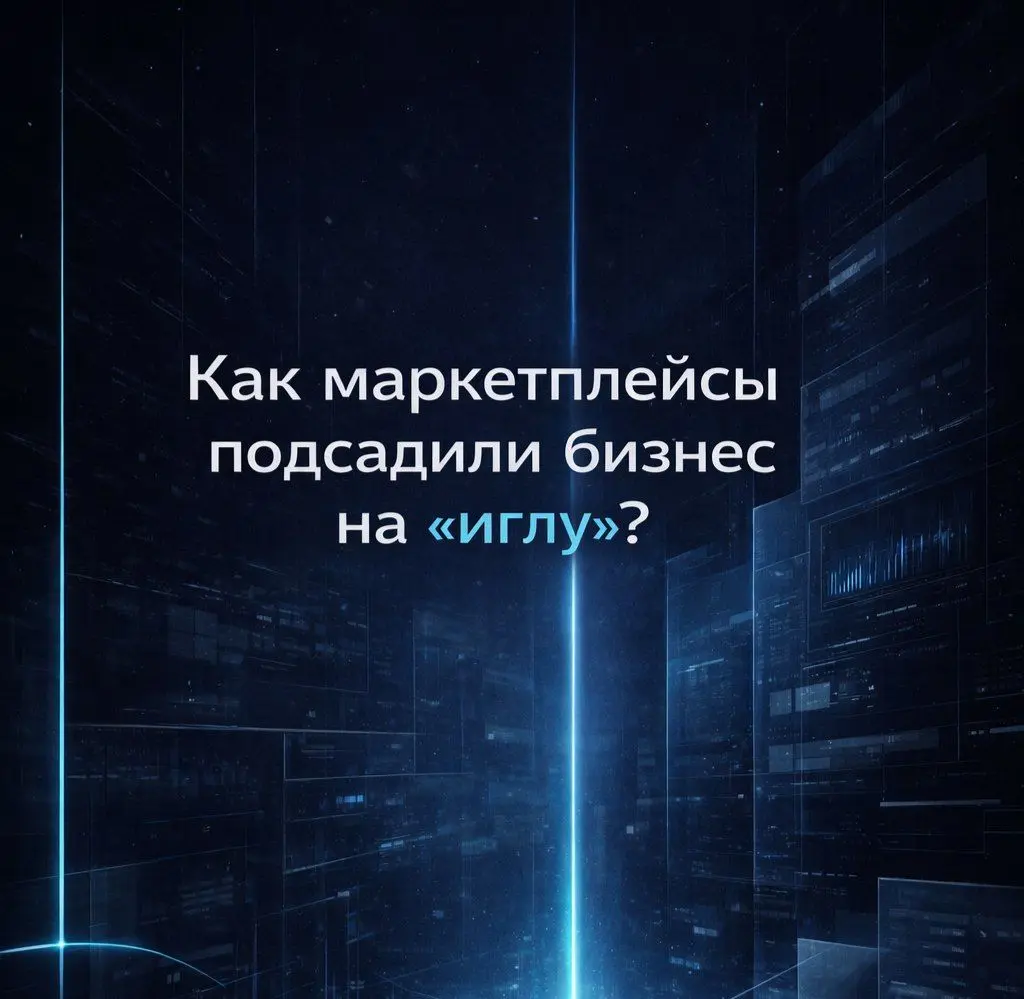 Как WB и Ozon подсадили товарный бизнес на "иглу"? | Сетка — социальная сеть от hh.ru