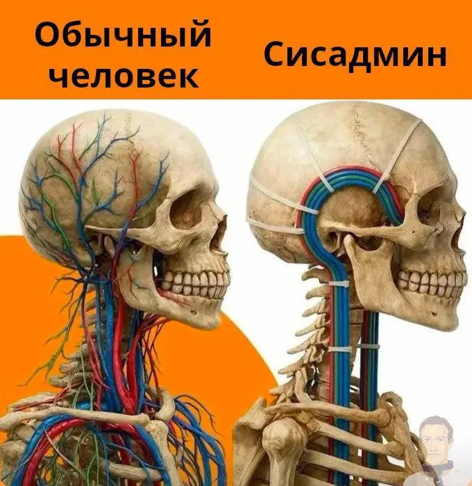 Пора бы уже перейти на беспроводное соединение) | Сетка — социальная сеть от hh.ru