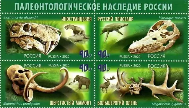 В 2020 году Россия впервые выпустила марки на палеонтологическую тематику | Сетка — социальная сеть от hh.ru