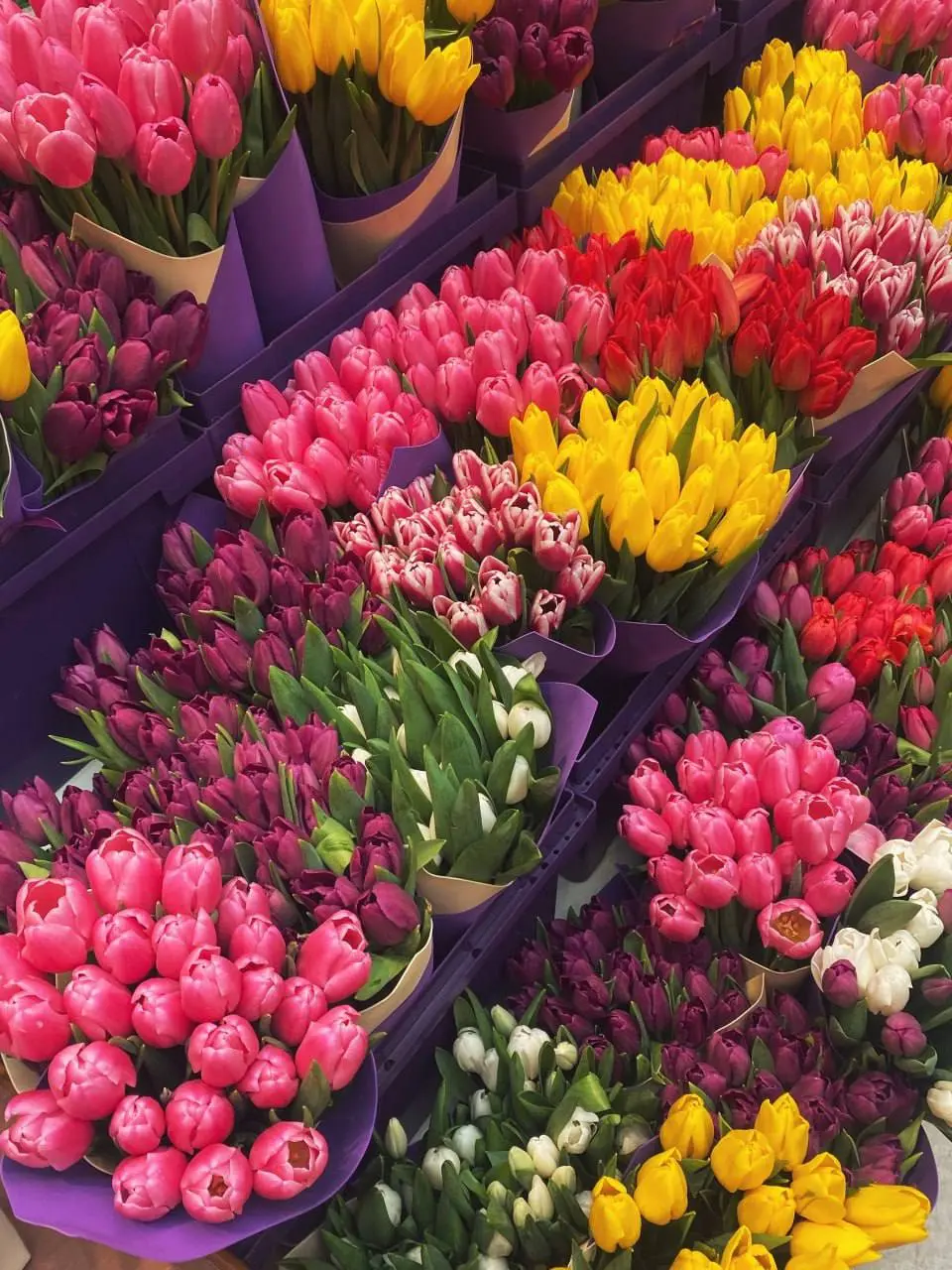 Красота в Петровском пассаже🌷
Были уже там?
😍 — Да
😔 — Нет
📲Подпишитесь на Вдвижении
#бесплатно
В этом посте были ссылки, но мы их удалили по правилам Сетки | Сетка — социальная сеть от hh.ru