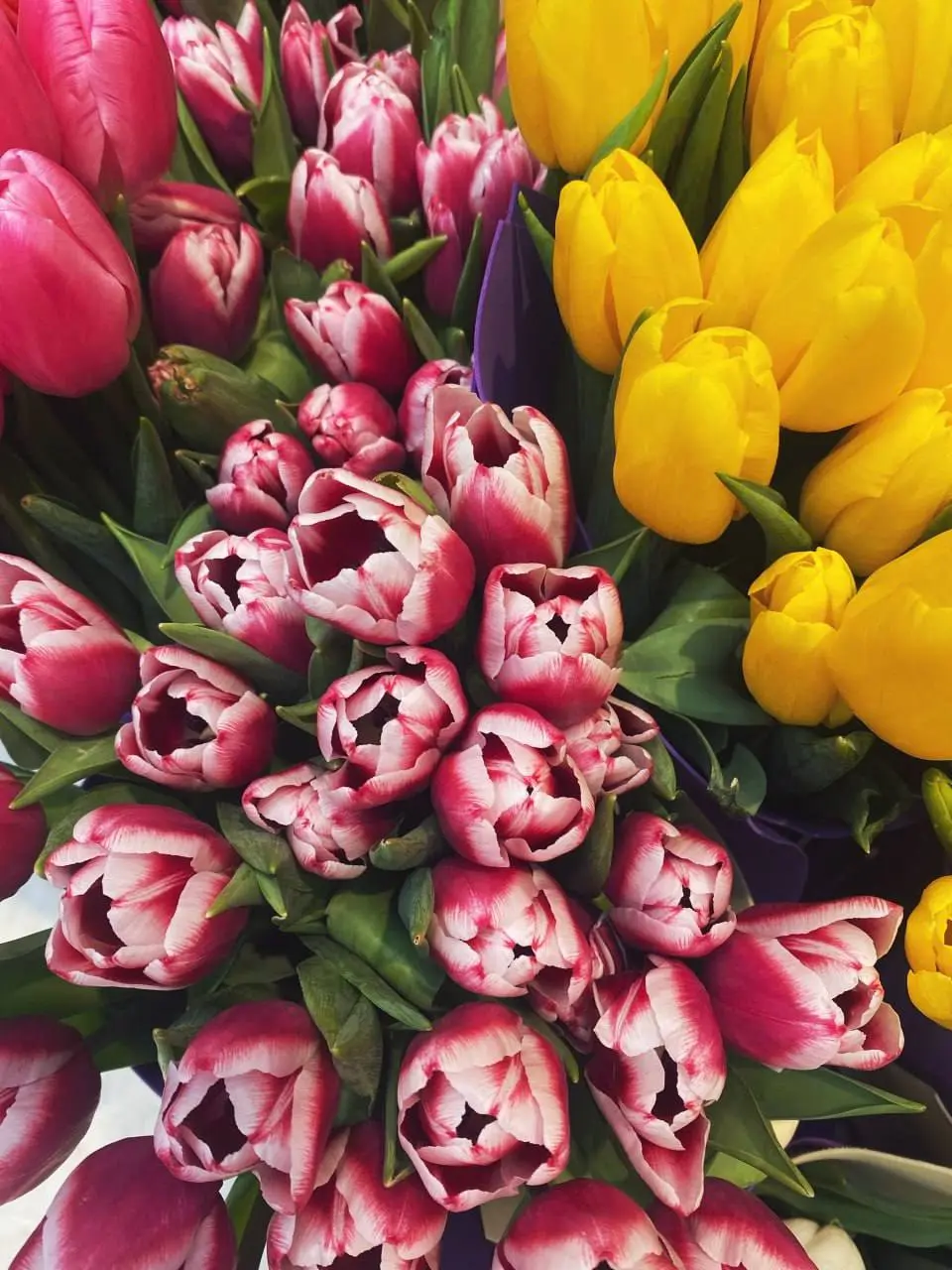 Красота в Петровском пассаже🌷
Были уже там?
😍 — Да
😔 — Нет
📲Подпишитесь на Вдвижении
#бесплатно
В этом посте были ссылки, но мы их удалили по правилам Сетки | Сетка — социальная сеть от hh.ru