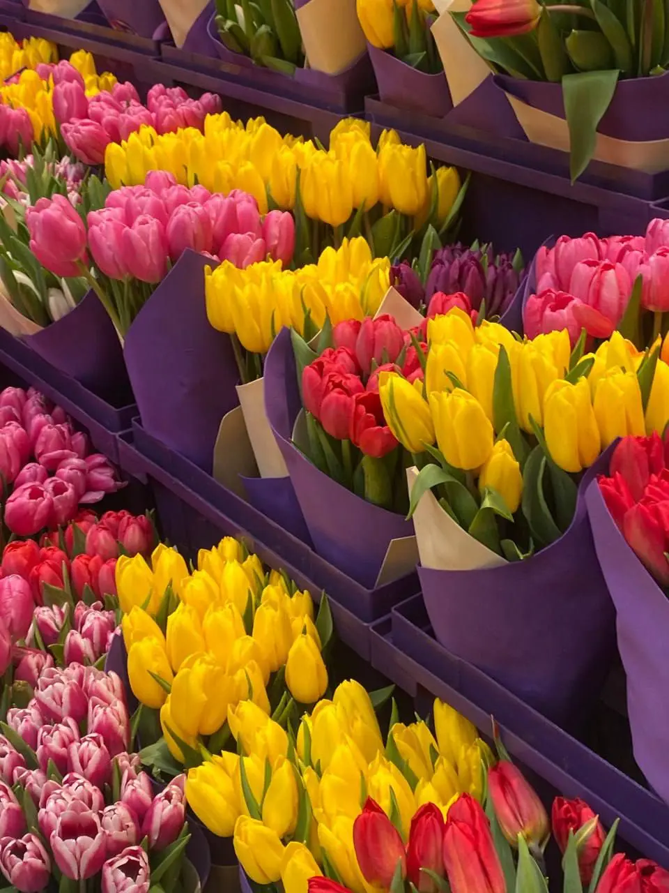Красота в Петровском пассаже🌷
Были уже там?
😍 — Да
😔 — Нет
📲Подпишитесь на Вдвижении
#бесплатно
В этом посте были ссылки, но мы их удалили по правилам Сетки | Сетка — социальная сеть от hh.ru