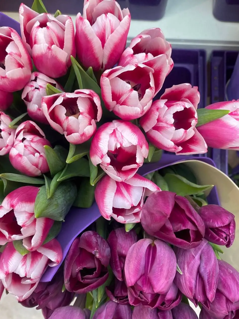 Красота в Петровском пассаже🌷
Были уже там?
😍 — Да
😔 — Нет
📲Подпишитесь на Вдвижении
#бесплатно
В этом посте были ссылки, но мы их удалили по правилам Сетки | Сетка — социальная сеть от hh.ru