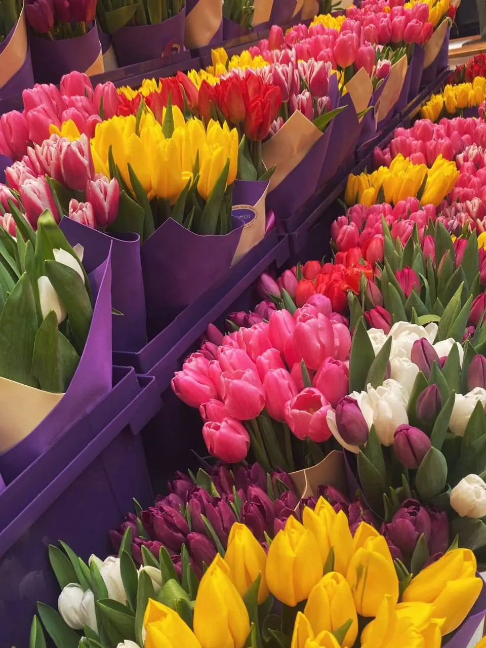 Красота в Петровском пассаже🌷
Были уже там?
😍 — Да
😔 — Нет
📲Подпишитесь на Вдвижении
#бесплатно
В этом посте были ссылки, но мы их удалили по правилам Сетки | Сетка — социальная сеть от hh.ru