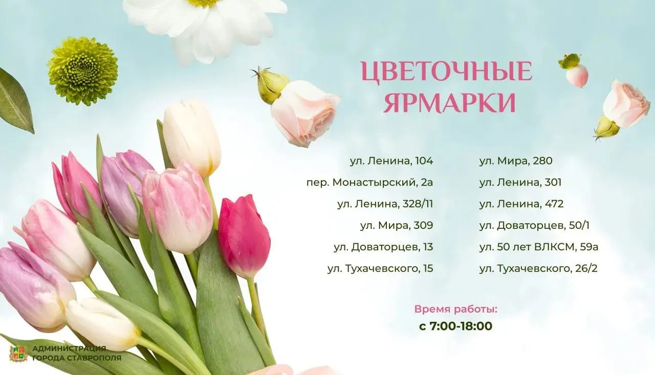 🌷 В Ставрополе открываются цветочные базары
С 4 по 8 марта в краевой столице начнут работать 12 ярмарок, где вы сможете приобрести свежие цветы к Международному женскому дню | Сетка — социальная сеть от hh.ru